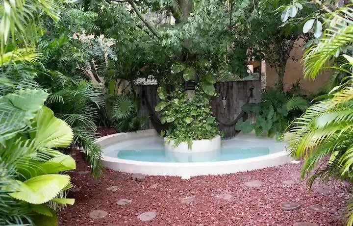 Tribu 204 Jungle Experience Ambience Apartment Tulum Mexico